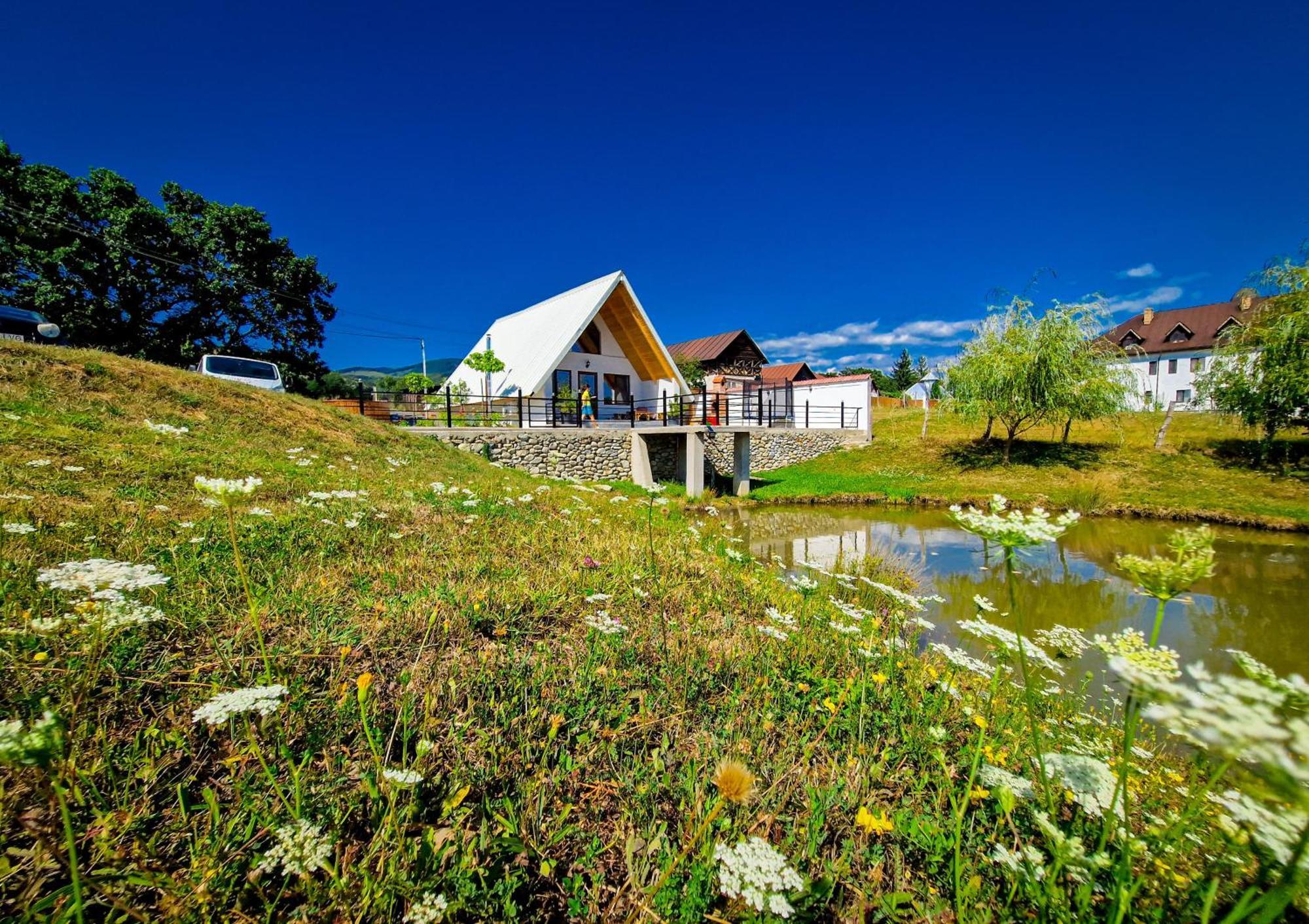 Villa Cabana A Lakeview Cărpinişu Exterior foto